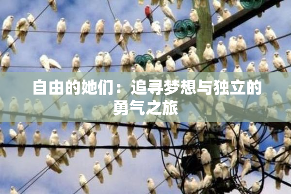 自由的她们：追寻梦想与独立的勇气之旅