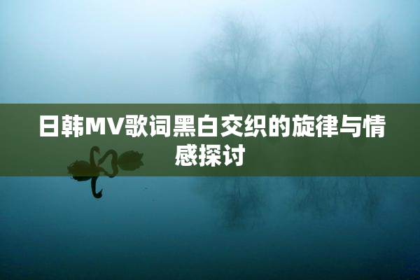 日韩MV歌词黑白交织的旋律与情感探讨