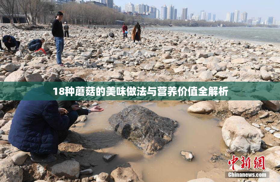 18种蘑菇的美味做法与营养价值全解析