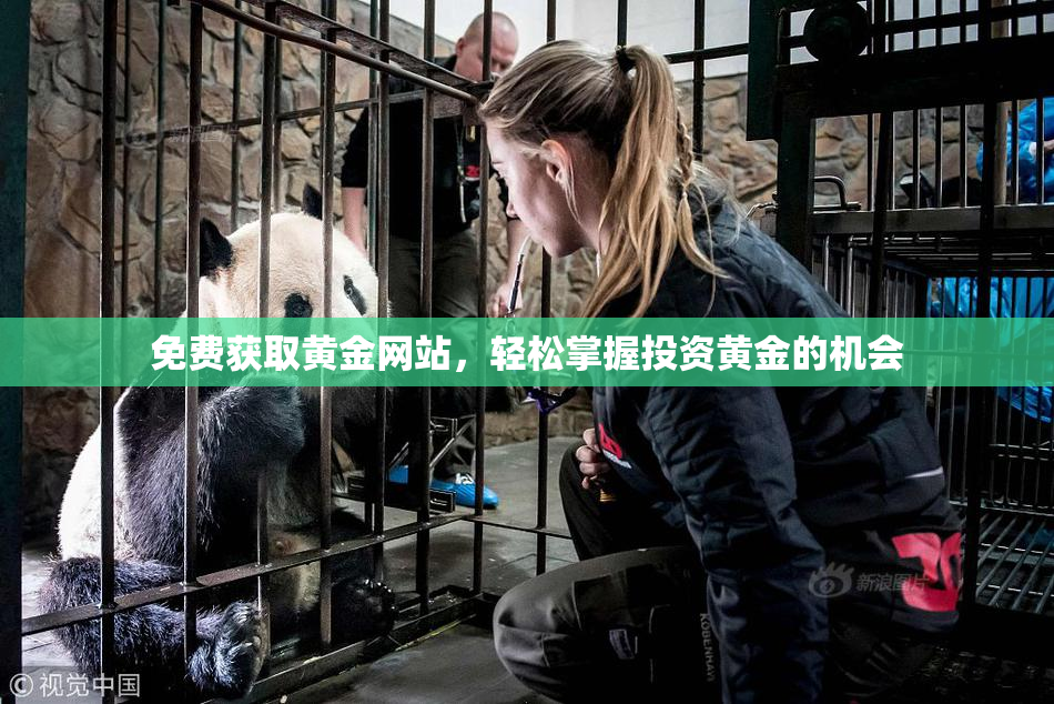 免费获取黄金网站，轻松掌握投资黄金的机会