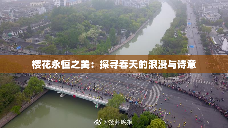 樱花永恒之美：探寻春天的浪漫与诗意