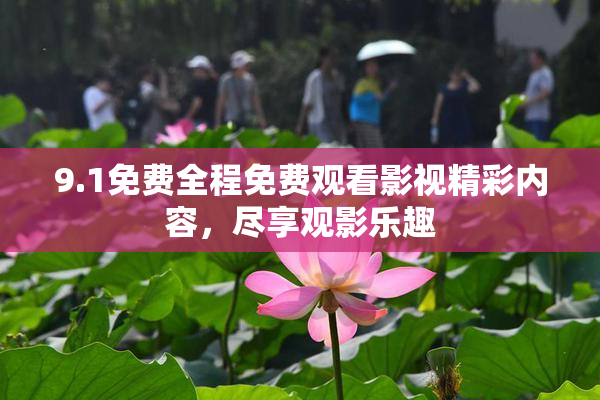 9.1免费全程免费观看影视精彩内容，尽享观影乐趣