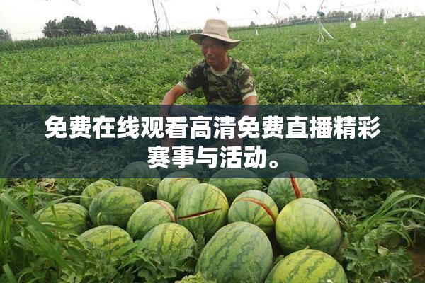 免费在线观看高清免费直播精彩赛事与活动。