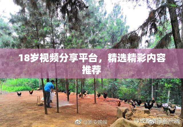 18岁视频分享平台，精选精彩内容推荐