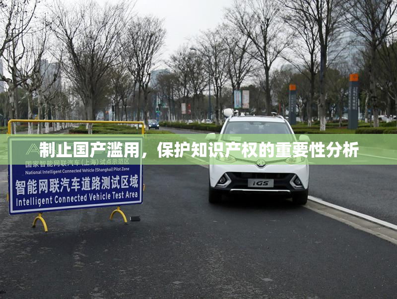 制止国产滥用，保护知识产权的重要性分析
