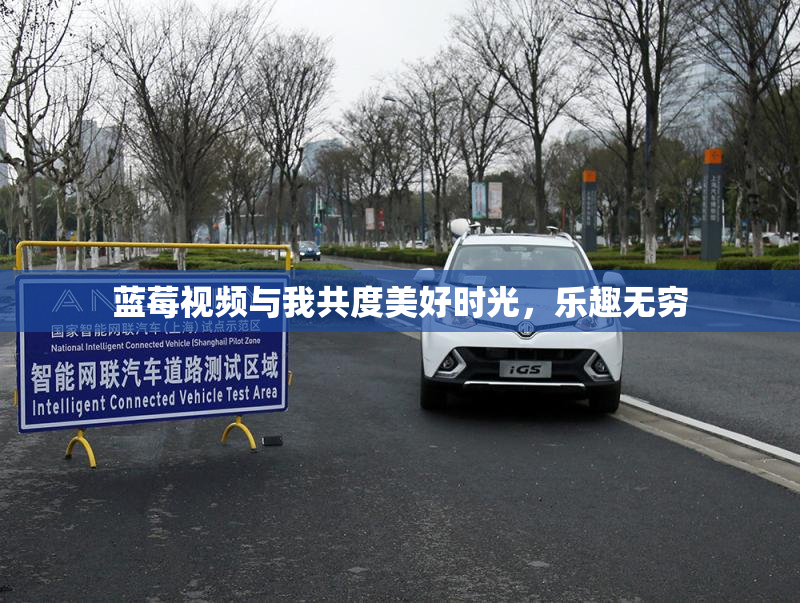 蓝莓视频与我共度美好时光，乐趣无穷
