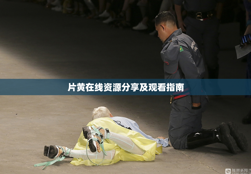 片黄在线资源分享及观看指南