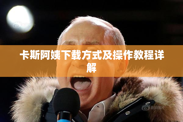 卡斯阿姨下载方式及操作教程详解