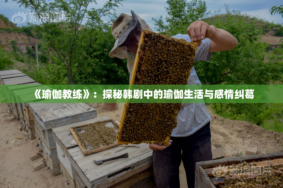 《瑜伽教练》：探秘韩剧中的瑜伽生活与感情纠葛
