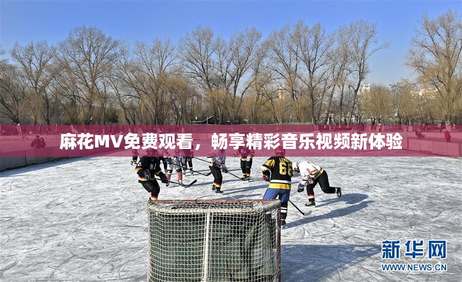 麻花MV免费观看，畅享精彩音乐视频新体验