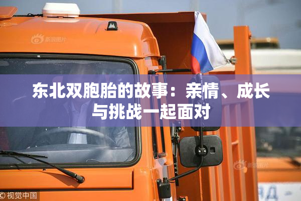 东北双胞胎的故事：亲情、成长与挑战一起面对