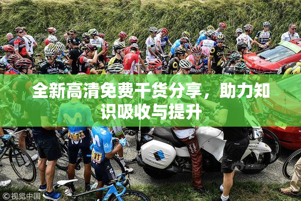 全新高清免费干货分享，助力知识吸收与提升