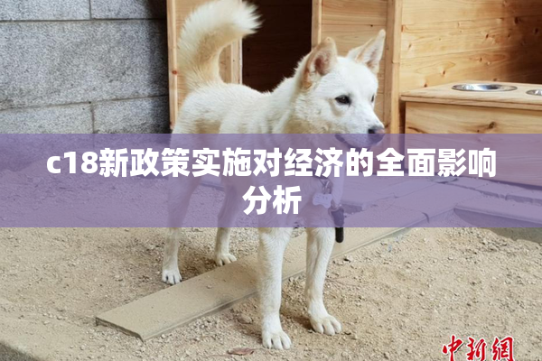c18新政策实施对经济的全面影响分析