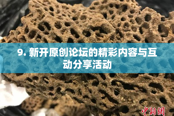 9. 新开原创论坛的精彩内容与互动分享活动