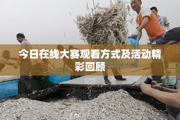 今日在线大赛观看方式及活动精彩回顾