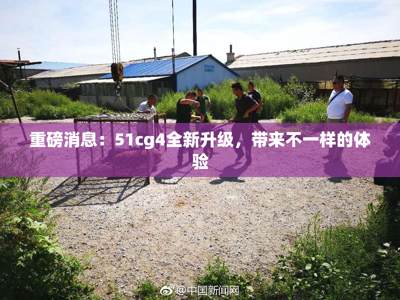 重磅消息：51cg4全新升级，带来不一样的体验