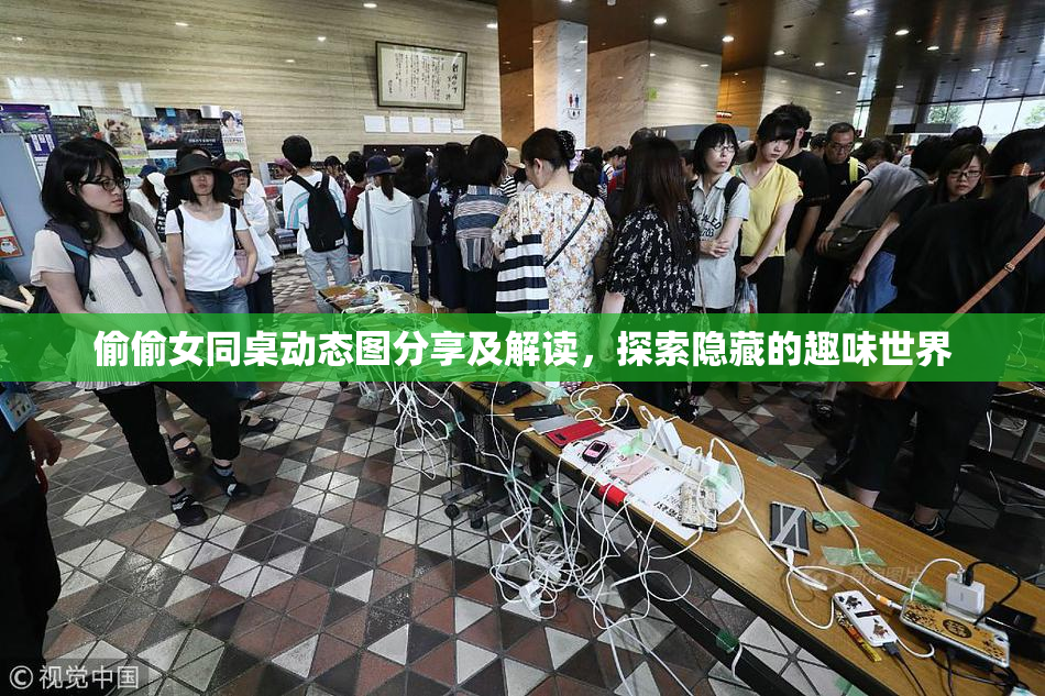 偷偷女同桌动态图分享及解读，探索隐藏的趣味世界