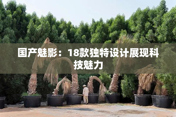 国产魅影：18款独特设计展现科技魅力