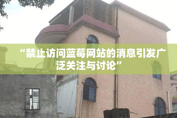 “禁止访问蓝莓网站的消息引发广泛关注与讨论”
