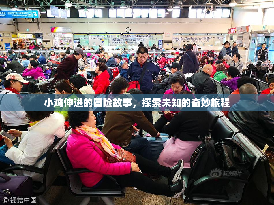 小鸡伸进的冒险故事，探索未知的奇妙旅程