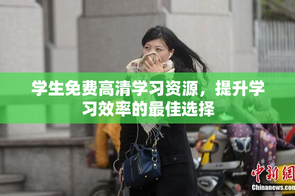 学生免费高清学习资源，提升学习效率的最佳选择