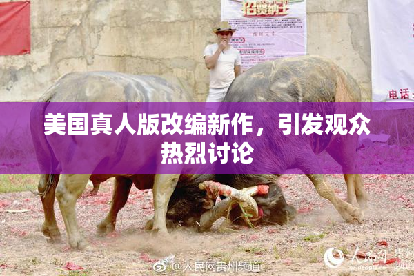 美国真人版改编新作，引发观众热烈讨论