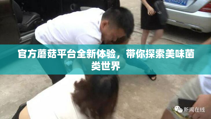 官方蘑菇平台全新体验，带你探索美味菌类世界