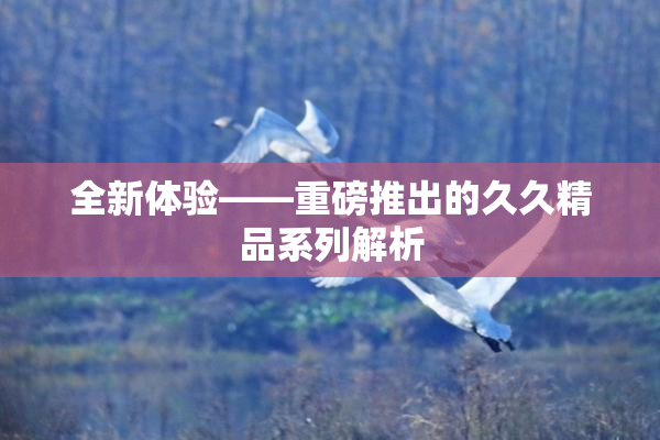 全新体验——重磅推出的久久精品系列解析