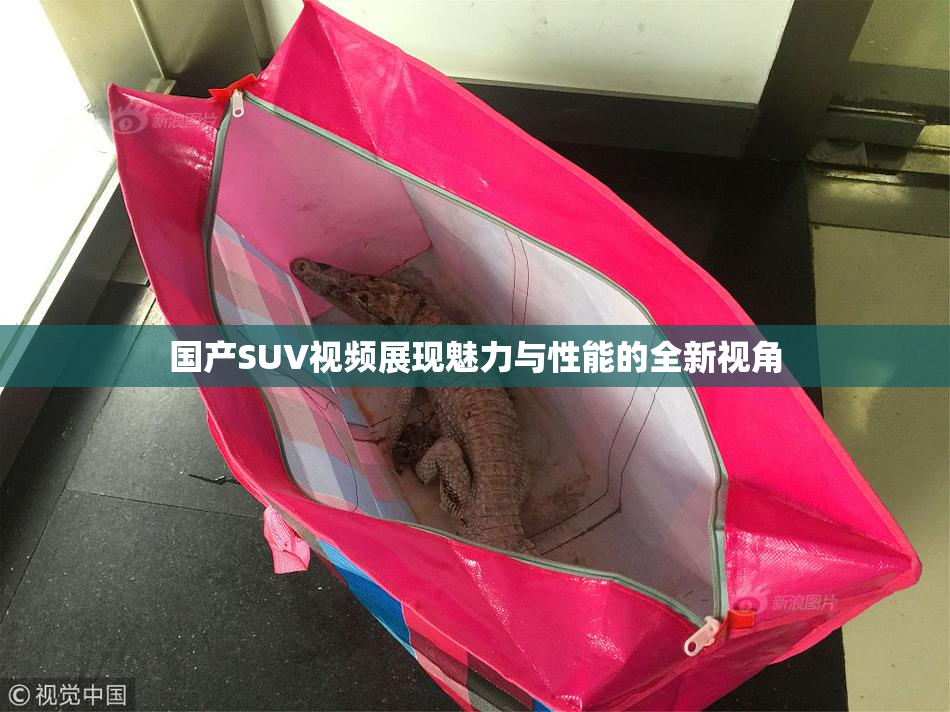 国产SUV视频展现魅力与性能的全新视角