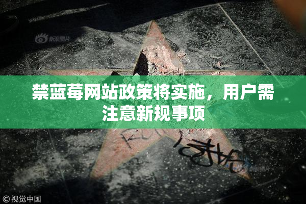 禁蓝莓网站政策将实施，用户需注意新规事项