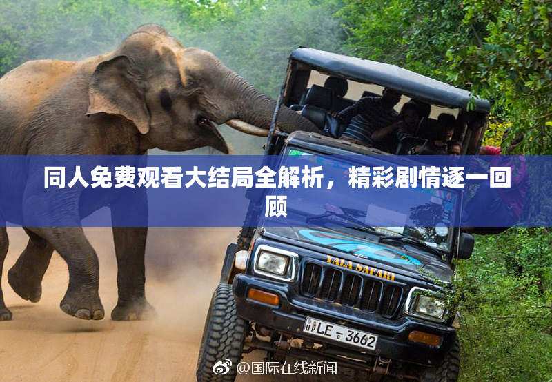 同人免费观看大结局全解析，精彩剧情逐一回顾