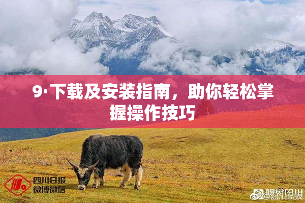 9·下载及安装指南，助你轻松掌握操作技巧