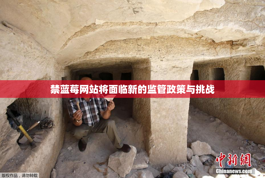 禁蓝莓网站将面临新的监管政策与挑战