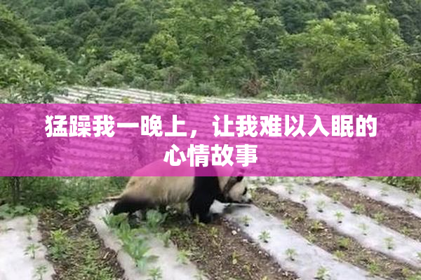 猛躁我一晚上，让我难以入眠的心情故事