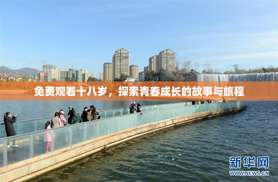 免费观看十八岁，探索青春成长的故事与旅程