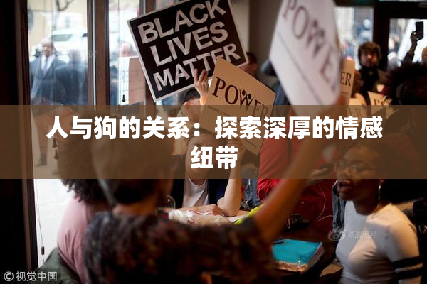 人与狗的关系：探索深厚的情感纽带