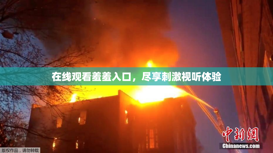 在线观看羞羞入口，尽享刺激视听体验