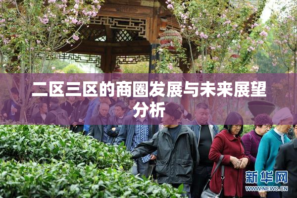 二区三区的商圈发展与未来展望分析