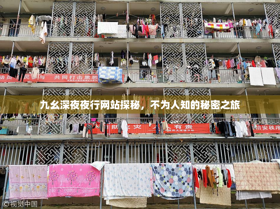 九幺深夜夜行网站探秘，不为人知的秘密之旅