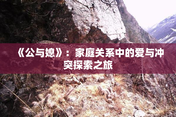 《公与媳》：家庭关系中的爱与冲突探索之旅