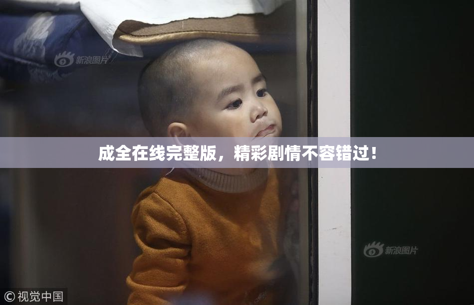 成全在线完整版，精彩剧情不容错过！