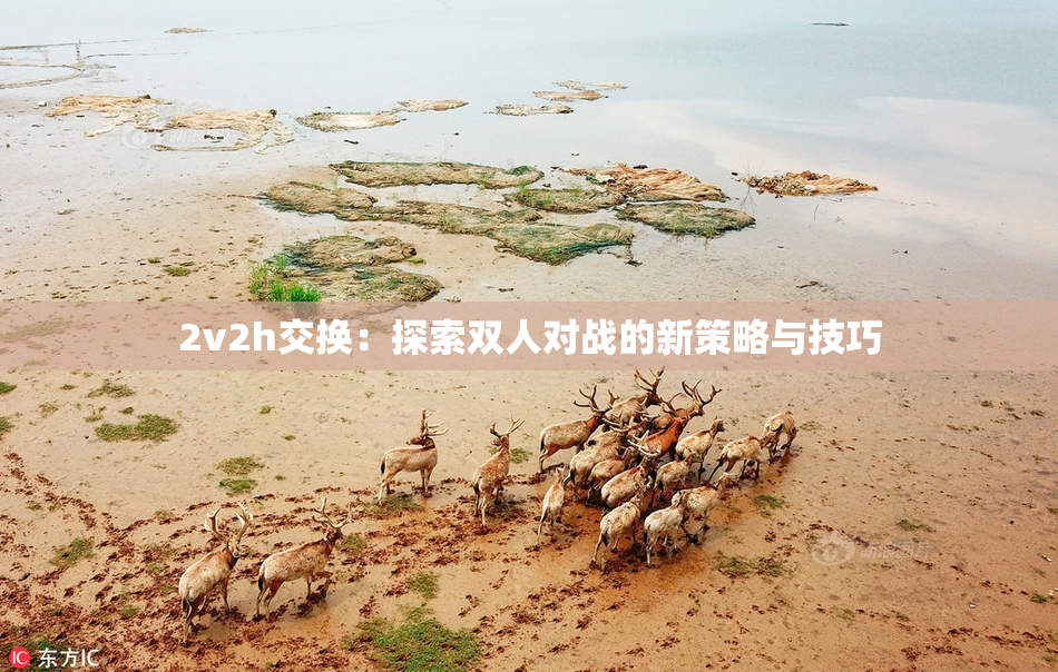 2v2h交换：探索双人对战的新策略与技巧