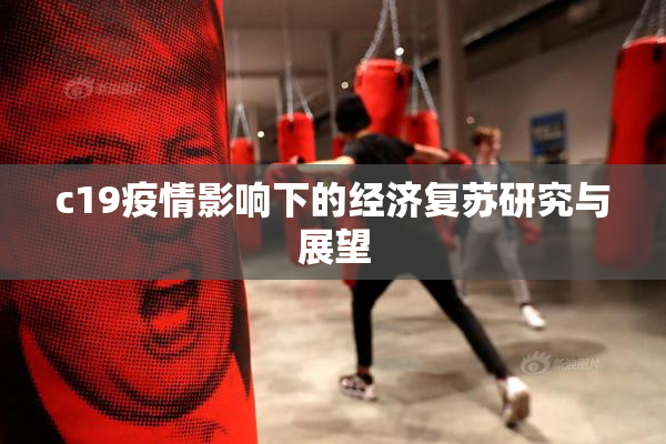 c19疫情影响下的经济复苏研究与展望