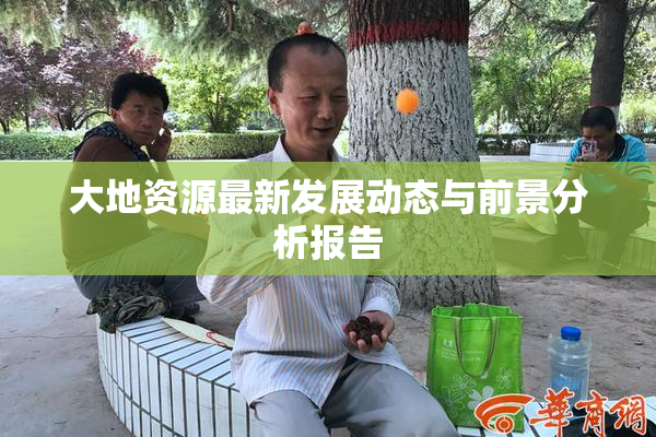 大地资源最新发展动态与前景分析报告