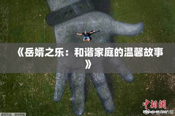 《岳婿之乐：和谐家庭的温馨故事》
