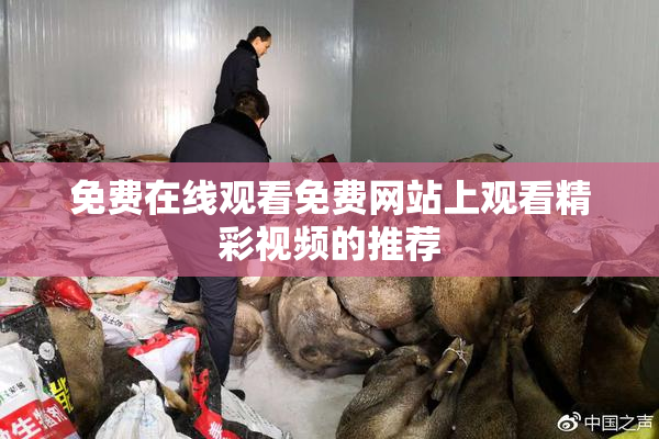 免费在线观看免费网站上观看精彩视频的推荐