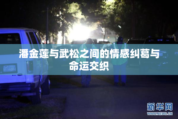 潘金莲与武松之间的情感纠葛与命运交织