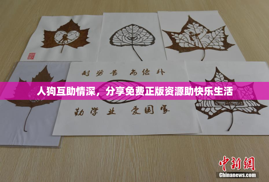 人狗互助情深，分享免费正版资源助快乐生活