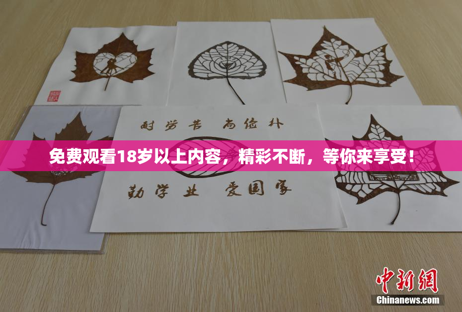 免费观看18岁以上内容，精彩不断，等你来享受！