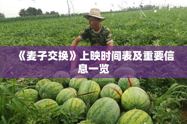 《麦子交换》上映时间表及重要信息一览